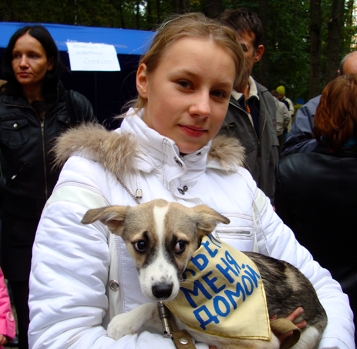 photo